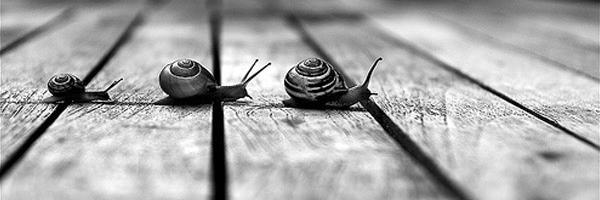 brookieb94's profile banner image