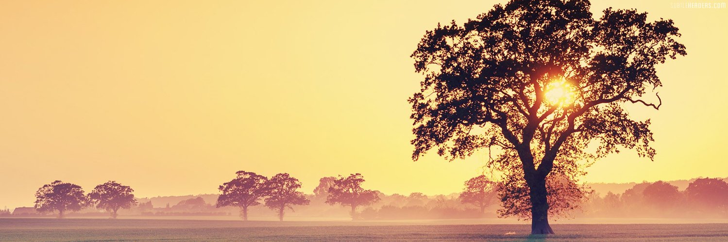 LHoffmann_TM's profile banner image