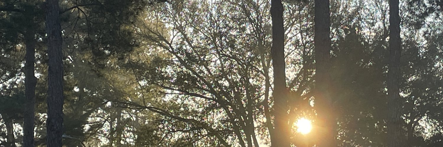 CaseTheBerean's profile banner image