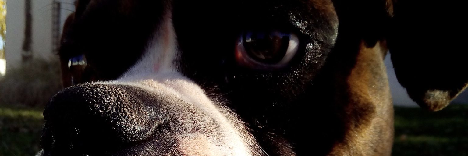 J_ZPA's profile banner image