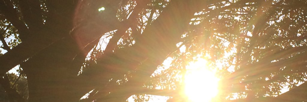 Joanna Pendray banner