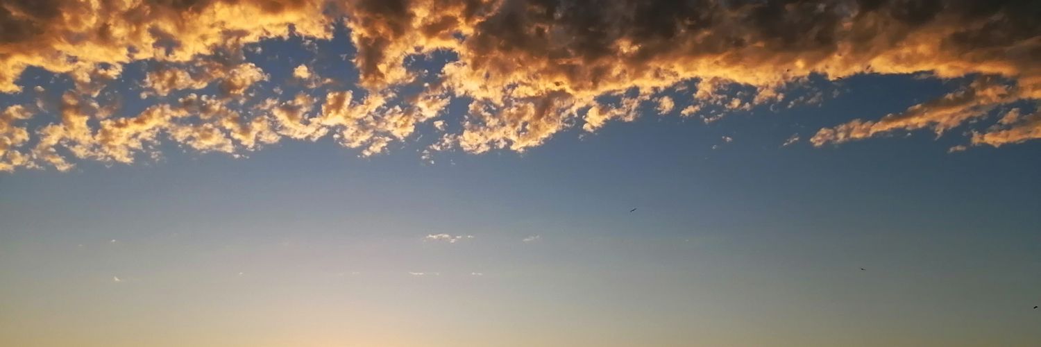 BlondGrinch's profile banner image