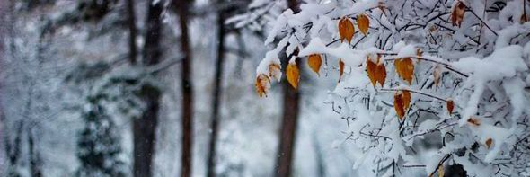AnnSh0's profile banner image