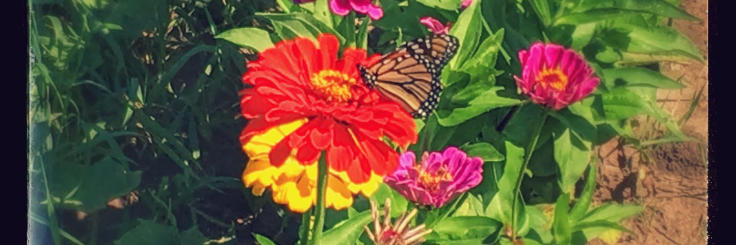 freethinker1212's profile banner image