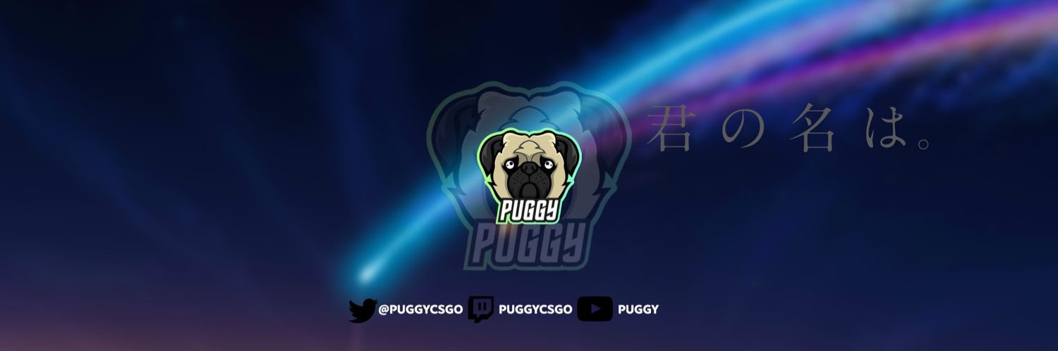 Pug banner