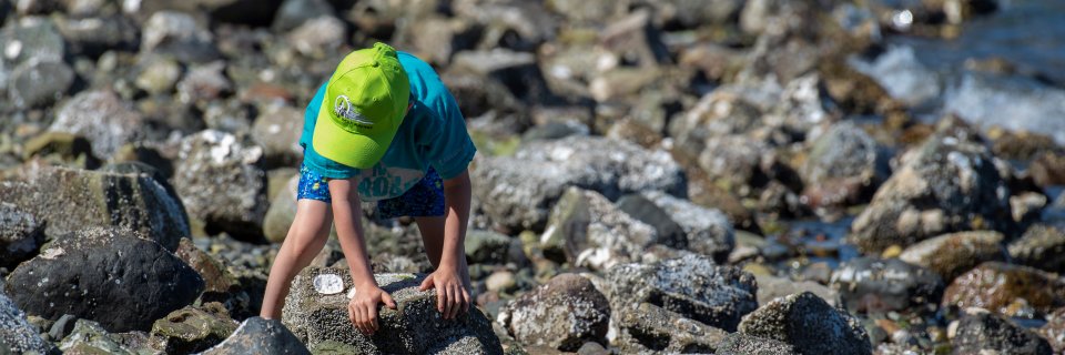Peter Constable @pconstable@typo.social banner