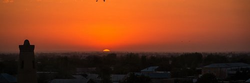 Qum_Mushugi's profile banner image