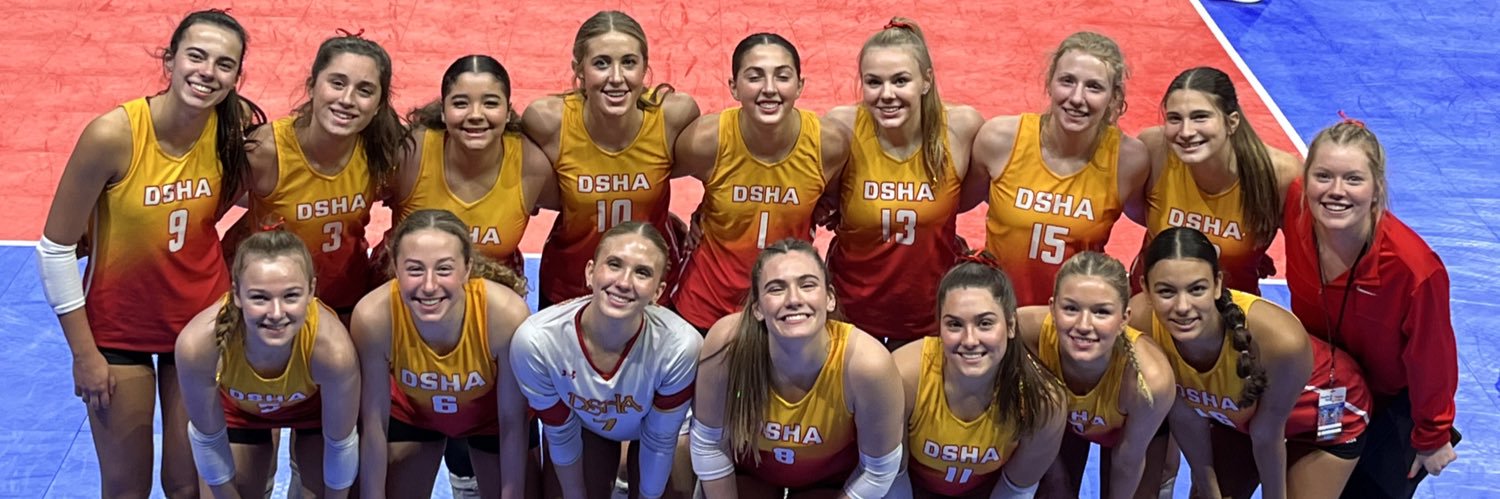 DSHA Dasher VB banner