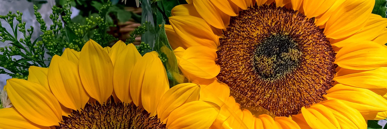 mirley_pp's profile banner image