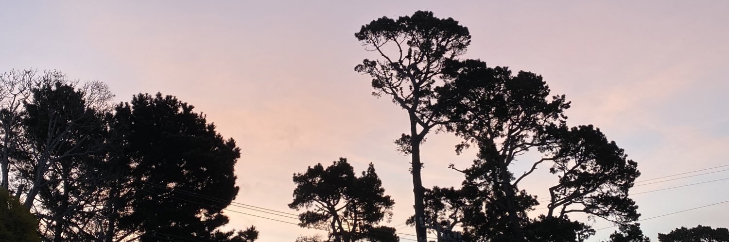 magicamania_'s profile banner image