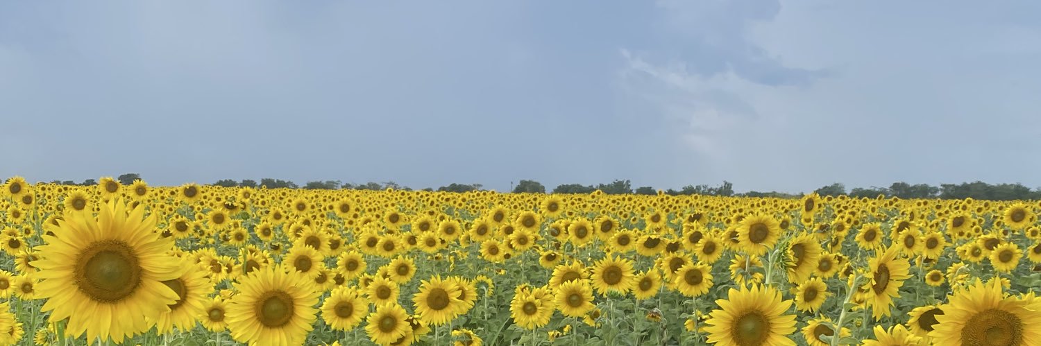 MariaJosePF's profile banner image