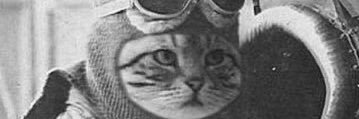 orejadejudas's profile banner image