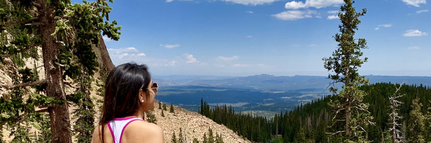 sajnip's profile banner image