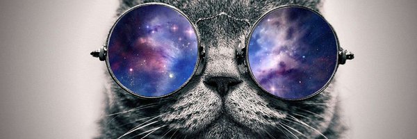 mini_universal Profile Banner