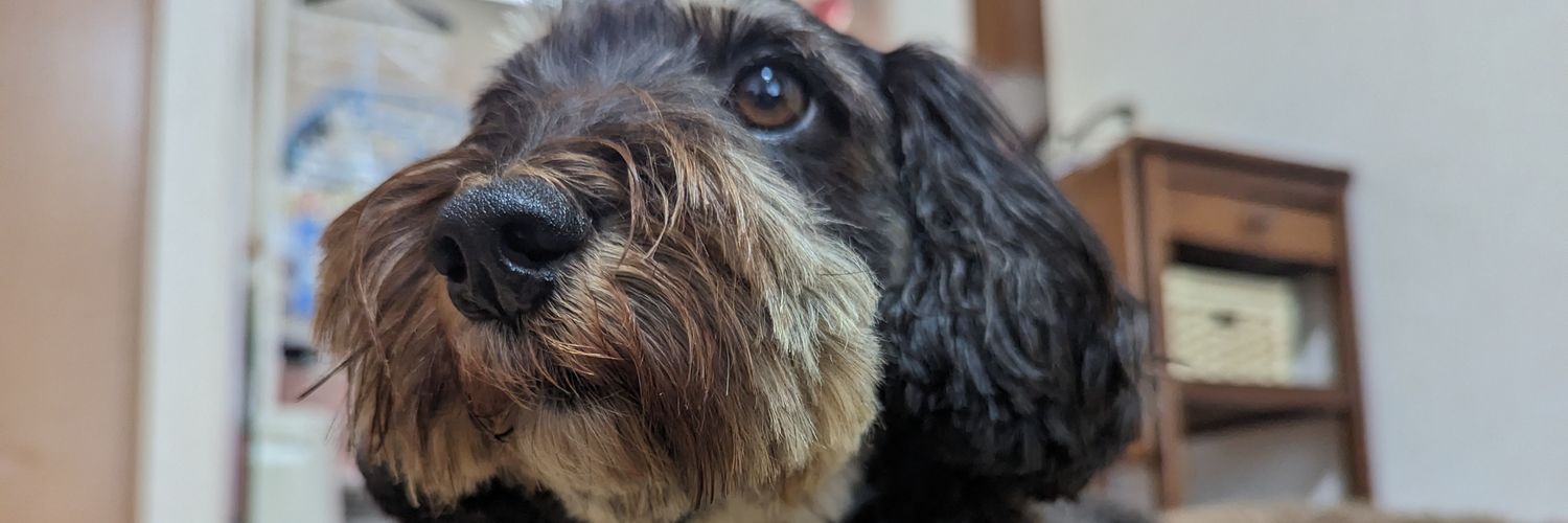 佐藤のω🐾🍆 banner