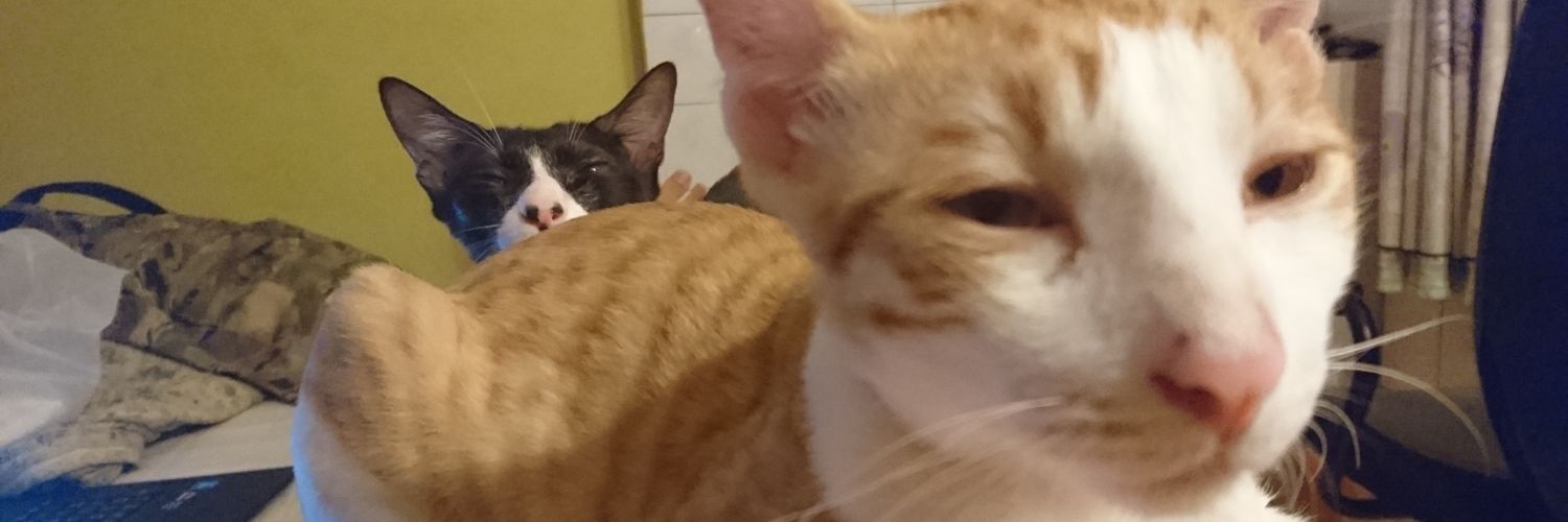 j0c0lien's profile banner image