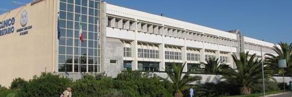 Massimo Fantini MD, PhD banner