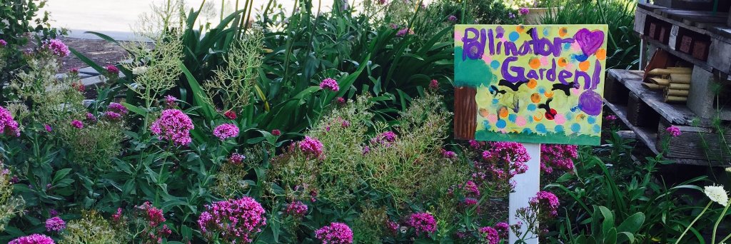 PV School Gardens banner