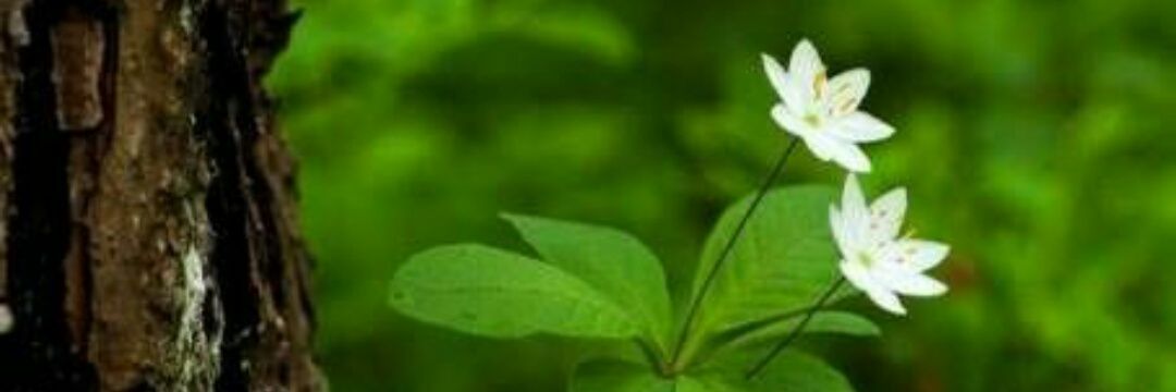 YaminiEditor's profile banner image