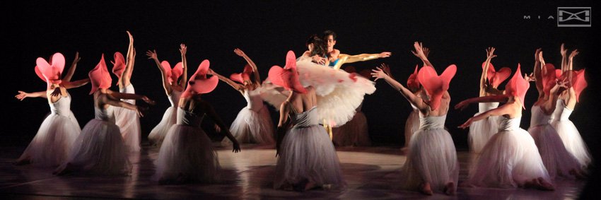 Instituto Danza AA banner