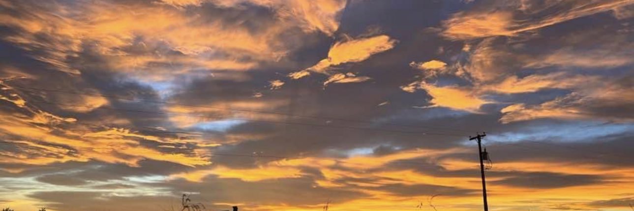mikela_mireles's profile banner image