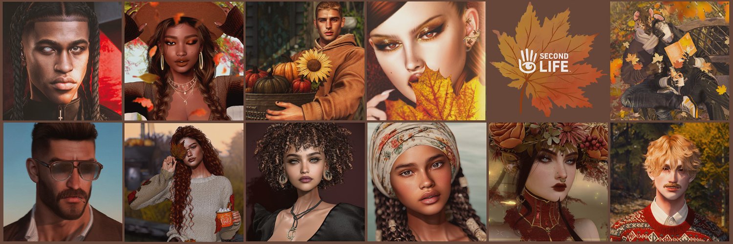SecondLife's profile banner image