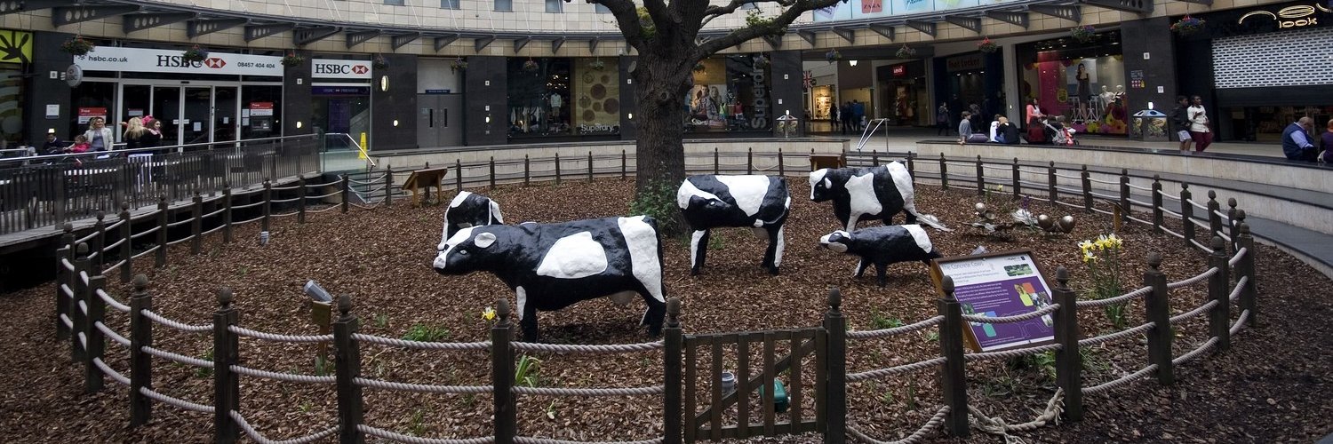 Milton Keynes Live banner