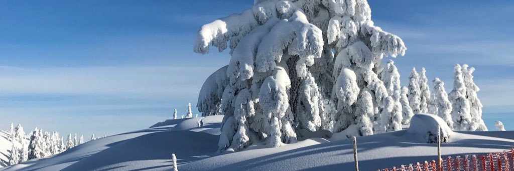 Cameron Uganec banner