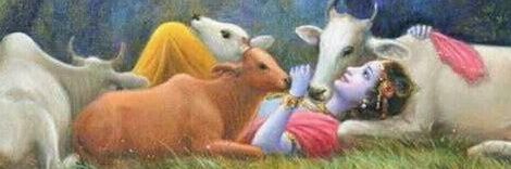 Amol Badhale banner