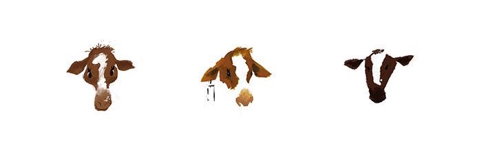 CaroOHerrrera's profile banner image