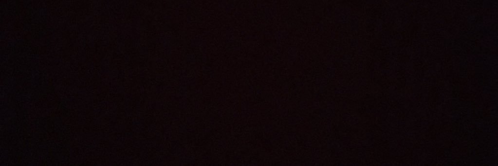 daisymerollin banner