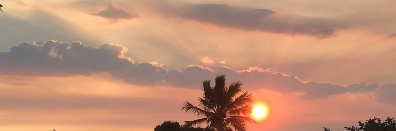 LilByx5's profile banner image