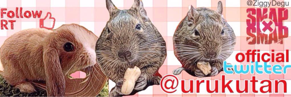 urukutan's profile banner image