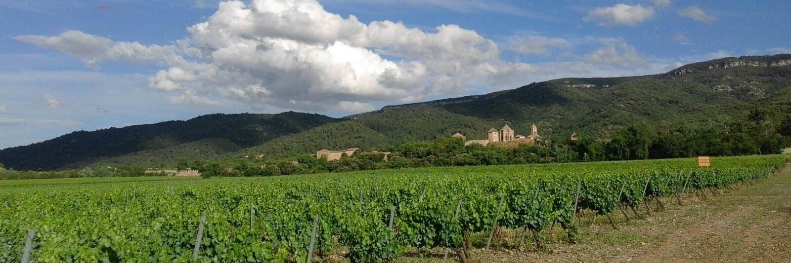 CRP Conca Barberà banner