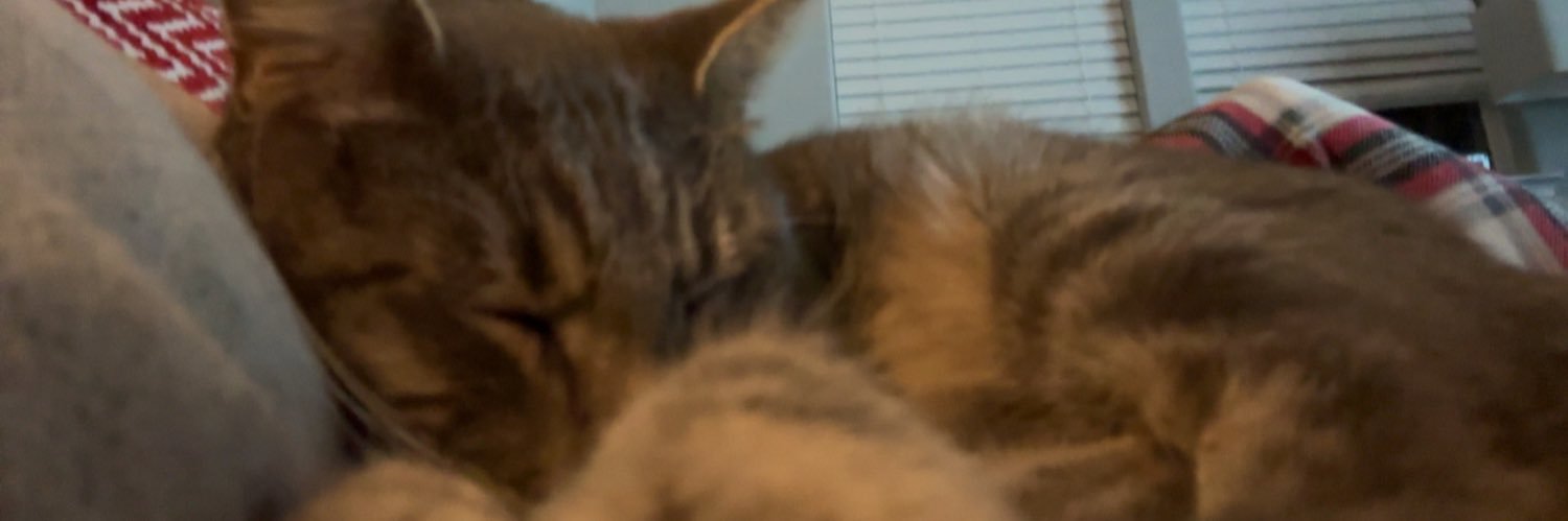 new year new yard banner