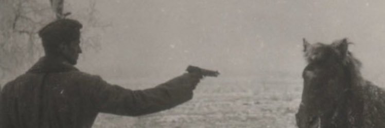 _eva_martinez_'s profile banner image