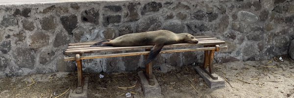 neenerbot Profile Banner