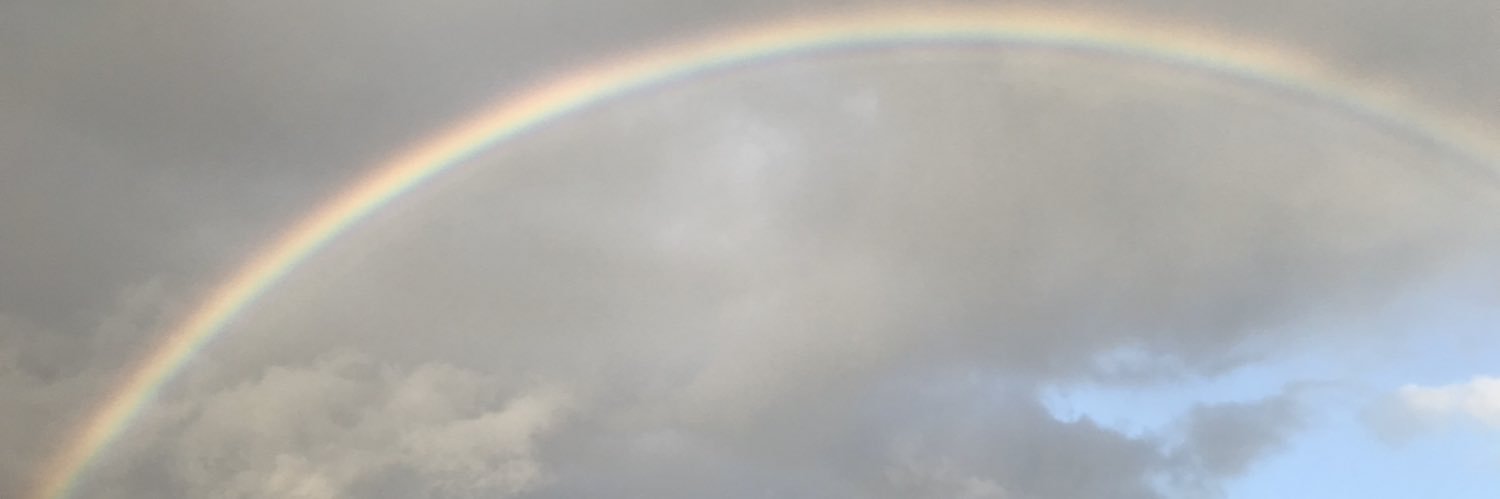 leeallenOT's profile banner image