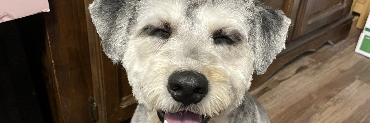 lexydmo's profile banner image