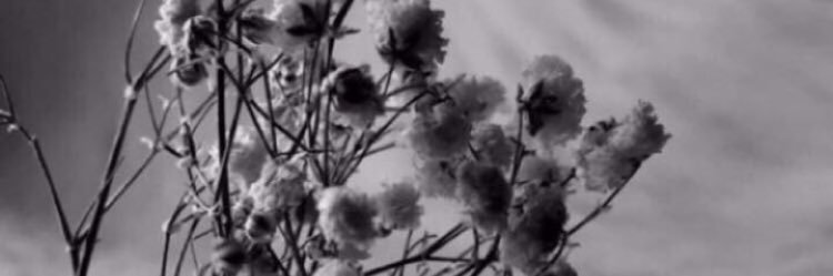 nona,s banner