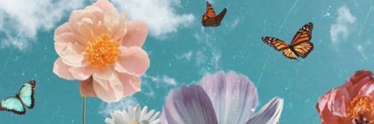 MaryEvaaaaaa's profile banner image