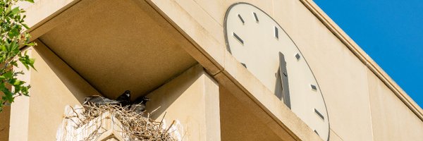 UofILibrary Profile Banner