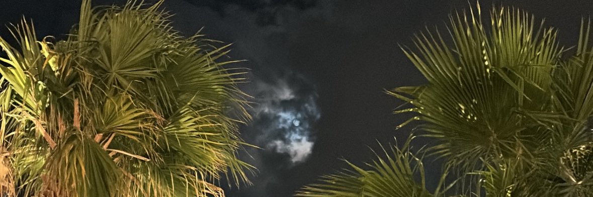 zzy's profile banner image