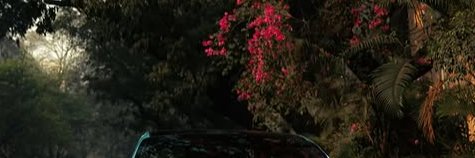Twink banner