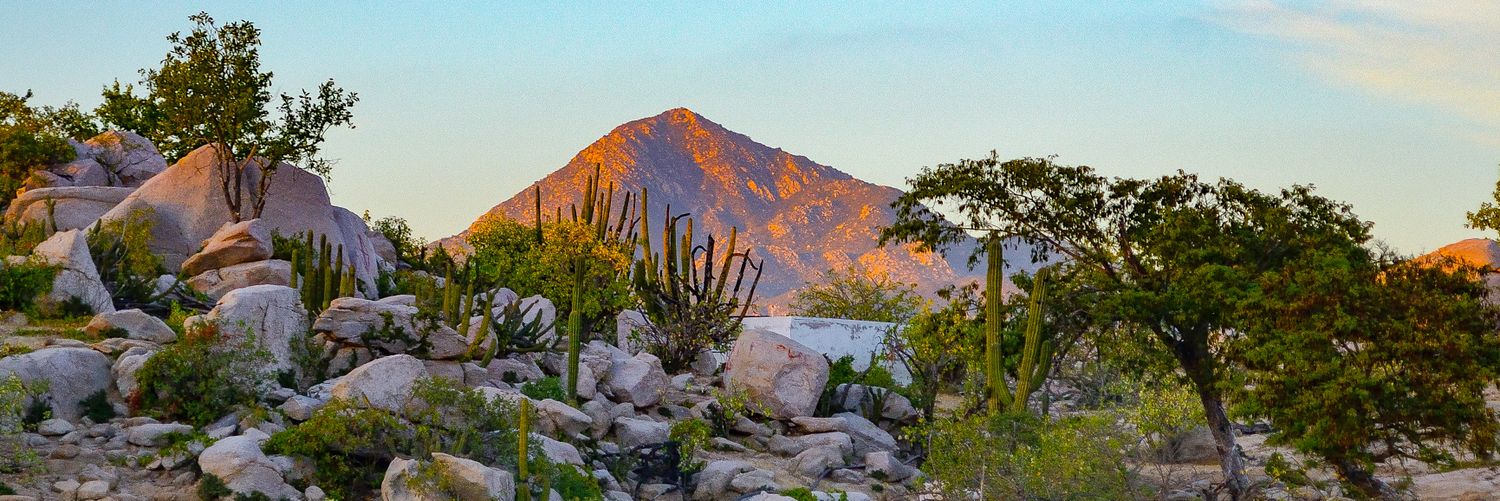 Baja California Sur es Mi Tierra banner
