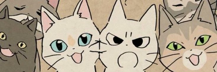 troubsol's profile banner image