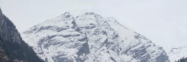 xrp_arp's profile banner image