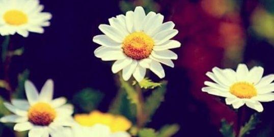 Suuie_M's profile banner image