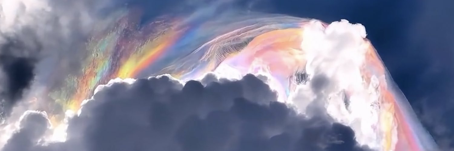 Fan_Ding's profile banner image