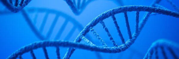 Honglu_Zhang Profile Banner